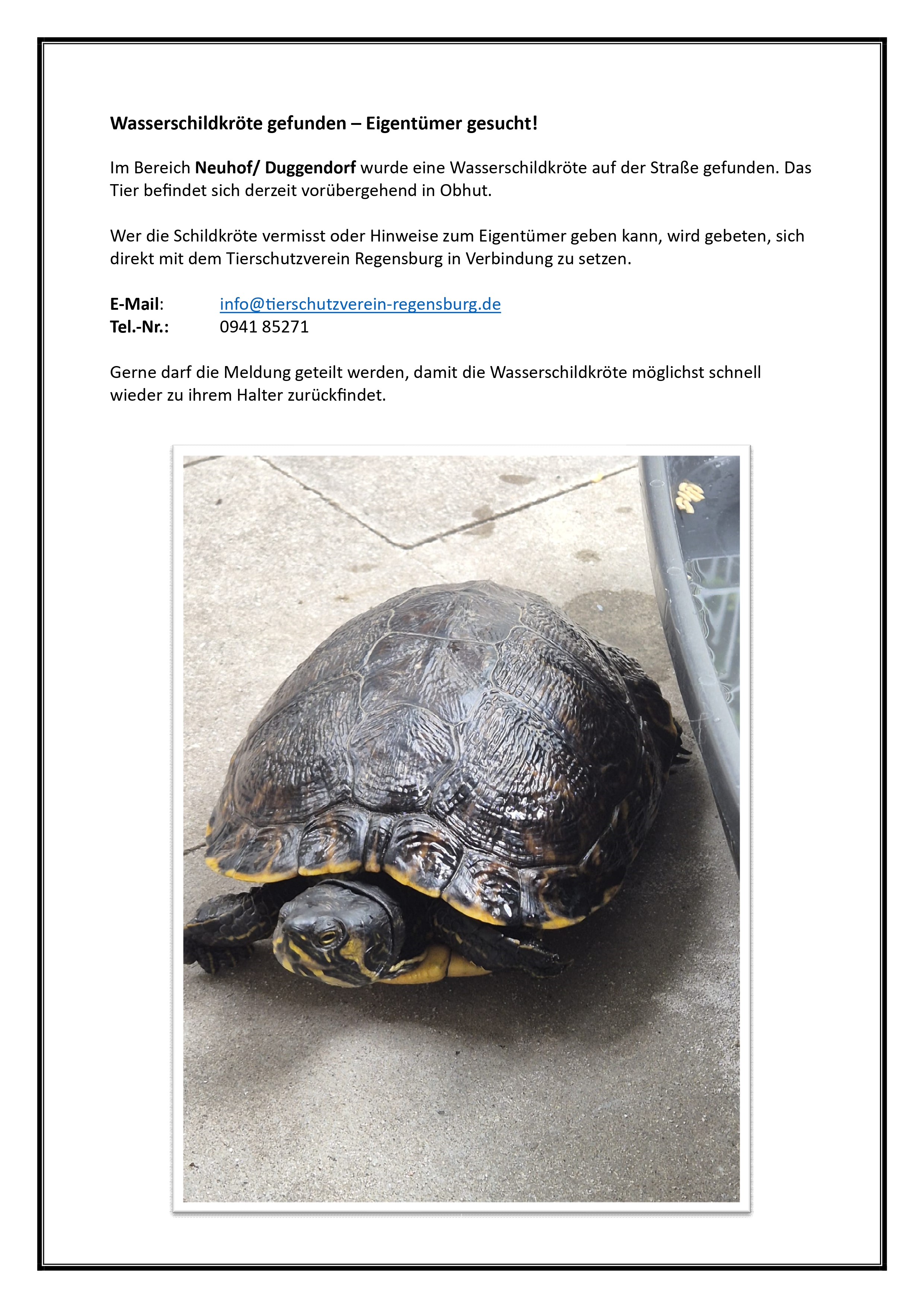 Leider haben wir keinen Alternativtext zu diesem Bild, aber wir arbeiten daran.