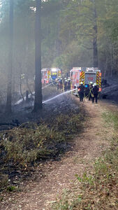 Waldbrand Springiersbach
