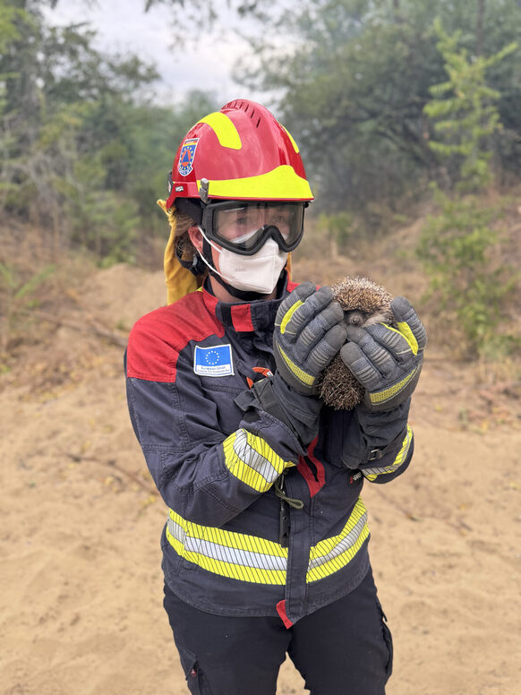 Das Foto zeigt eine Feuerwehrfrau in voller Montur, die einen Igel in den Händen hält
