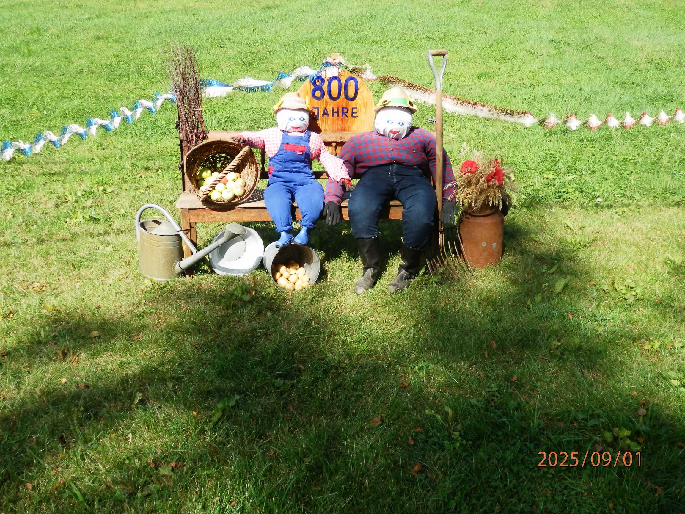 P9010083