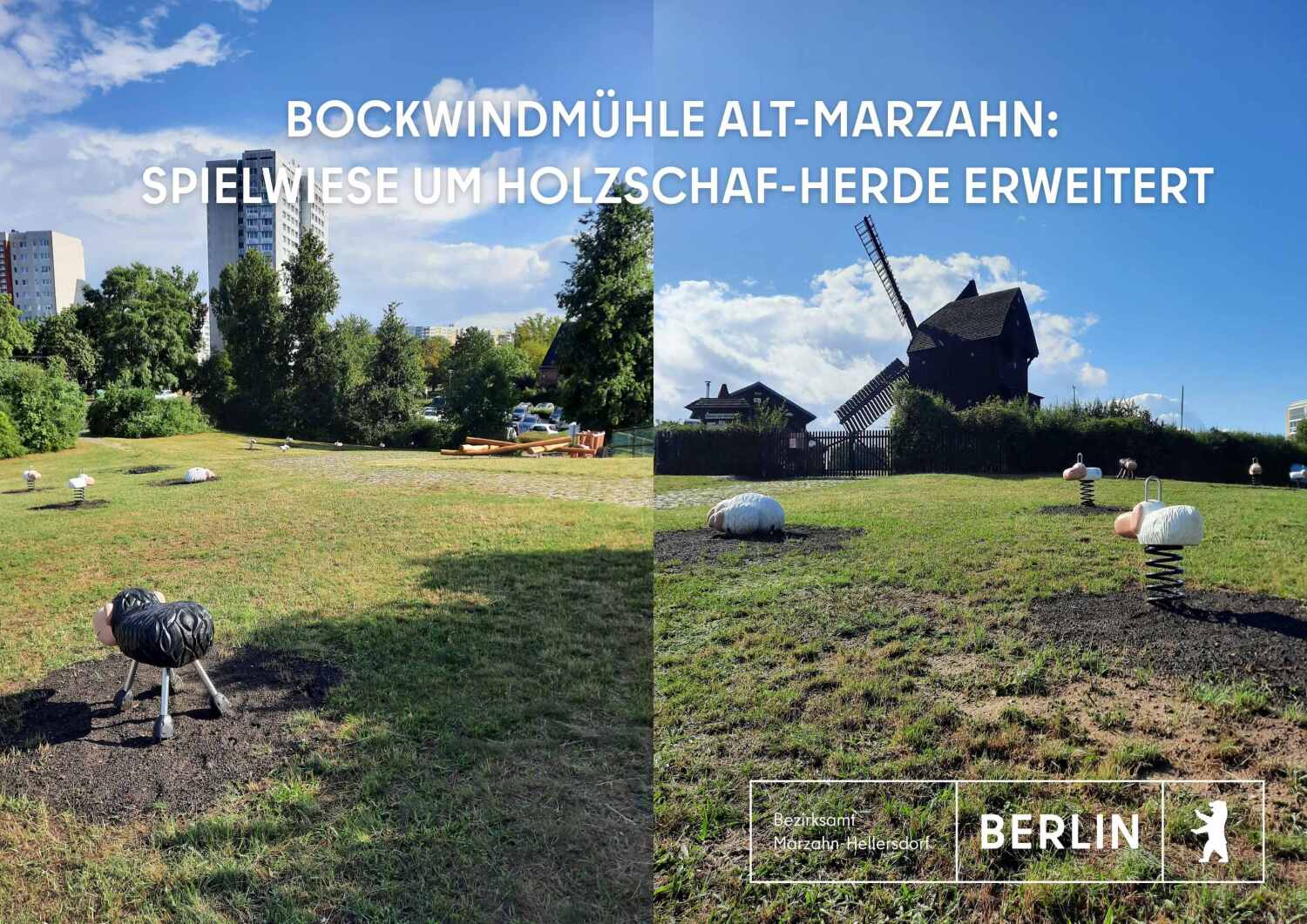 Neue Holzschafe auf Spielwiese vor Bockwindmühle in Alt-Marzahn